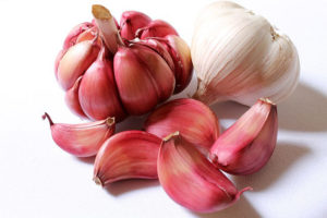Allicin er en naturlig del af hvidløgets 'immunforsvar'