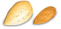 Mandelolie (sød mandelolie)