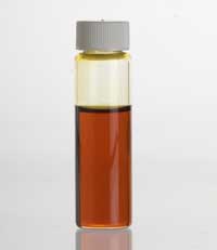 Patchouliolie udvindes af planten Patchouli (Pogostemon cablin)